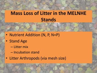 Mass Loss of Litter in the MELNHE
Stands
• Nutrient Addition (N, P, N+P)
• Stand Age
– Litter mix
– Incubation stand
• Litter Arthropods (via mesh size)
 