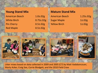 Young Stand Mix
American Beech 1.0±.02g
White Birch 0.75±.02g
Pin Cherry 0.5±.02g
Red Maple 0.5±.02g
Mature Stand Mix
American Beech 1.25±.02g
Sugar Maple 1±.02g
Yellow Birch 1±.02g
Litter mixes based on data collected in 2009 and 2005 (C7) by Matt Vadabancouer,
Marty Acker, Craig See, Corrie Blodgett, and the 2010 Field Crew
 