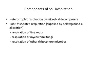 Components of Soil Respiration
• Heterotrophic respiration by microbial decomposers
• Root-associated respiration (supplied by belowground C
allocation)
- respiration of fine roots
- respiration of mycorrhizal fungi
- respiration of other rhizosphere microbes
 