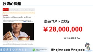 技術的課題
￥28,000,000
製造コスト 200g
2013年・研究費込み
 