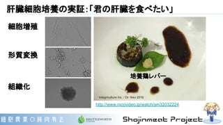肝臓細胞培養の実証：「君の肝臓を食べたい」
細胞増殖
形質変換
組織化
培養鶏レバー
http://www.nicovideo.jp/watch/sm32032224
Integriculture Inc. / Dr. Ikko 2016
 