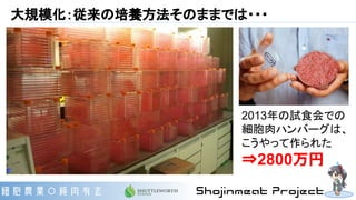 大規模化：従来の培養方法そのままでは・・・
2013年の試食会での
細胞肉ハンバーグは、
こうやって作られた
⇒2800万円
 
