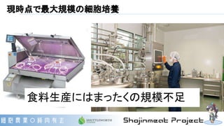 現時点で最大規模の細胞培養
食料生産にはまったくの規模不足
 