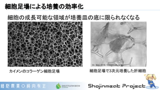 細胞足場による培養の効率化
カイメンのコラーゲン細胞足場 細胞足場で3次元培養した肝細胞
細胞の成長可能な領域が培養皿の底に限られなくなる
Dr. Ikko 2016 / Integriculture Inc.
 