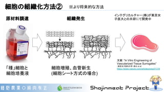 細胞の組織化方法② ※より将来的な方法
「種」細胞と
細胞培養液
細胞増殖、血管新生
(細胞シート方式の場合)
組織発生原材料調達
インテグリカルチャー (株)が東京女
子医大との共研にて開発中
文献：”In Vitro Engineering of
Vascularized Tissue Surrogates”
（東京女子医科大学・清水 et al）
https://www.nature.com/articles/srep01316
 
