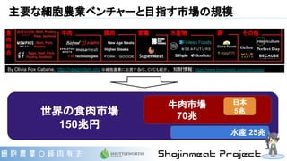 主要な細胞農業ベンチャーと目指す市場の規模
By Olivia Fox Cabane, http://newprotein.org ※細胞農業に出資するVC、CVCも紹介。 　知財情報: https://www.kiranmeats.com/resources/
日本
5兆
水産 25兆
世界の食肉市場
150兆円
牛肉市場
70兆
牛肉 豚肉 家禽 水産物 卵 その他食
肉
総
合
 