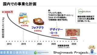 国内での事業化計画
細胞培養の価格低下
に合わせた商品展開
を計画している。
試験製造時期
※発売はこれ以降か
 