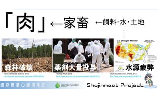 「肉」←家畜 ←飼料・水・土地
森林破壊 薬剤大量投与 水源疲弊
Hoekstra, Mekonnen, PNAS 2012
http://www.pnas.org/content/109/9/3232
Poore, Nemecek, Science 2018
http://science.sciencemag.org/content/360/6392/987
Ventola, NCBI 2015,
https://www.ncbi.nlm.nih.gov/pmc/articles/PMC4378521/
 