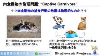 肉食動物の倫理問題: “Captive Carnivore”
野生動物は人の管理能力外で
あり、倫理性は問われない。
ただし動物園やペットのような「囚われの
肉食動物」は人の管理下にある
⇒倫理性が問われうる
？？肉食動物の捕食行動の放置は倫理的なのか？？
 