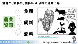 食糧か、飼料か、燃料か ⇒ 価格の連動上昇
農業
資源
食糧
飼料
燃料 Poore, Nemecek, Science 2018
http://science.sciencemag.org/content/360/6392/987
 