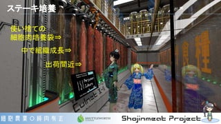 使い捨ての
細胞肉培養袋⇒
中で組織成長⇒
出荷間近⇒
ステーキ培養
 