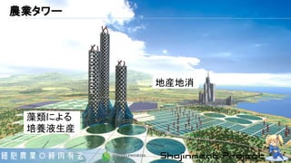 藻類による
培養液生産
地産地消
農業タワー
 
