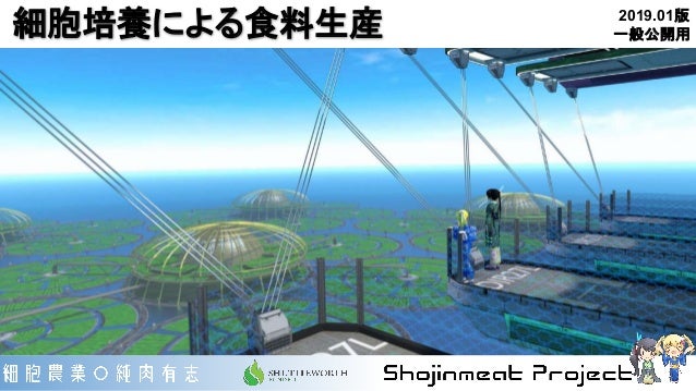 純肉 細胞培養による食料生産 19版