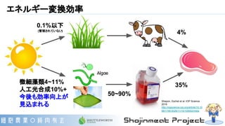 エネルギー変換効率
0.1%以下
(管理されていない)
微細藻類4~11%
人工光合成10%+
今後も効率向上が
見込まれる
4%
35%
50~90%
Shepon, Eschel et al, IOP Science
2016
http://iopscience.iop.org/article/10.10
88/1748-9326/11/10/105002/meta
 
