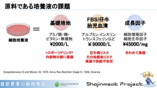 原料である培養液の課題
Gospodarowicz D and Moran JS, 1976, Annu Rev Biochem Eagle H, 1959, Science
アミノ酸・糖・
ビタミン・無機物
2000/L
=スポーツドリンク?
内容物の割に高価
アルブミン,インスリン,
トランスフェリンなど
￥90000/L
狂牛病リスク
その他感染リスク
高価で供給不安定
細胞増殖因子
細胞生存因子
45000/mg
きわめて高価
＝
基礎培地
FBS/仔牛
胎児血清
成長因子
細胞培養液
 