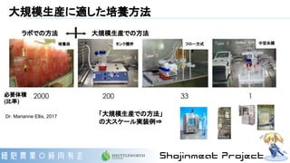 大規模生産に適した培養方法
Dr. Marianne Ellis, 2017
ラボでの方法 大規模生産での方法
「大規模生産での方法」
の大スケール実装例⇒
必要体積
(比率)
タンク攪拌培養皿 フロー方式 中空糸膜
 