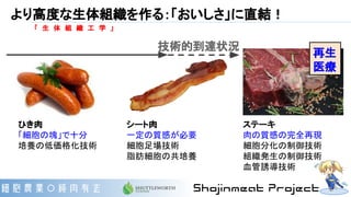 より高度な生体組織を作る：「おいしさ」に直結！
ひき肉
「細胞の塊」で十分
培養の低価格化技術
シート肉
一定の質感が必要
細胞足場技術
脂肪細胞の共培養
ステーキ
肉の質感の完全再現
細胞分化の制御技術
組織発生の制御技術
血管誘導技術
技術的到達状況
再生
医療
「　生　体　組　織　工　学　」
 