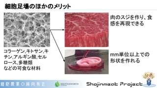 細胞足場のほかのメリット
コラーゲン,キトサン,キ
チン,アルギン酸,セル
ロース,多糖類
などの可食な材料
肉のスジを作り、食
感を再現できる
mm単位以上での
形状を作れる
 