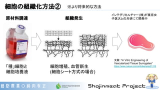 細胞の組織化方法② ※より将来的な方法
「種」細胞と
細胞培養液
細胞増殖、血管新生
(細胞シート方式の場合)
組織発生原材料調達
インテグリカルチャー (株)が東京女
子医大との共研にて開発中
文献：”In Vitro Engineering of
Vascularized Tissue Surrogates”
https://www.nature.com/articles/srep01316
 