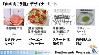 「肉の向こう側」：デザイナーミート
(植物性)細胞
足場+動物細胞
2020前後
培養細胞の塊
2013
培養組織・
生体組織工学
2026?
デザイナー
ミート？
2030?
ひき肉・ソー
セージ
ベーコン・
ジャーキー
ステーキ・本
物の肉
肉を超えた
何か
藻類・動物細胞
共培養系
 