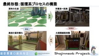 最終形態：循環系プロセスの構築
 