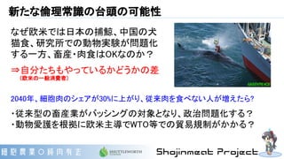 新たな倫理常識の台頭の可能性
2040年、細胞肉のシェアが30%に上がり、従来肉を食べない人が増えたら?
・従来型の畜産業がバッシングの対象となり、政治問題化する？
・動物愛護を根拠に欧米主導でWTO等での貿易規制がかかる？
なぜ欧米では日本の捕鯨、中国の犬
猫食、研究所での動物実験が問題化
する一方、畜産・肉食はOKなのか？
⇒自分たちもやっているかどうかの差
（欧米の一般消費者）
 