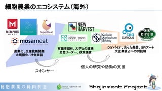 DIYバイオ、尖った発想、 SF/アート
大企業独占への対抗軸
スポンサー
個人の研究や活動の支援
有識者団体、大学との連携
思想リーダー、政策提言産業化、生産技術開発
大規模化、社会実装
細胞農業のエコシステム（海外）
 