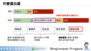 代替蛋白源
食肉大豆など 乳卵
食肉乳卵大豆など 新たな代替タンパク源
植物系
大豆
偽肉
藻類系 昆虫系 微生物系 細胞培養
新たなタンパク源
を提案
細胞農業：食肉・乳卵を
新たな方法で生産
食肉・乳卵食材の同
等品を植物から生産
現在
将来
※既存の蛋白源では賄えない
 