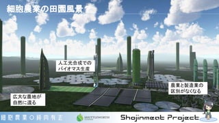 広大な農地が
自然に還る
農業と製造業の
区別がなくなる
人工光合成での
バイオマス生産
細胞農業の田園風景？
 
