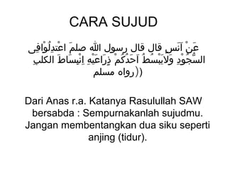 CARA SUJUD
‫عَن انس قال قال رسول ا صلم اعتدلوافى‬
   ِ ْ ُِ ْ َ                              ٍ ََ ْ
 ِ ‫السجود وليَبسط احدكم ذراعيه انْبساط الكلب‬
          َ َ ِ ِ ِ َْ َ ٍ ْ ُ ُ َ َ ُ ُ ْ َ ِ ْ ُ ّ
                    ‫))رواه مسلم‬

Dari Anas r.a. Katanya Rasulullah SAW
 bersabda : Sempurnakanlah sujudmu.
Jangan membentangkan dua siku seperti
               anjing (tidur).
 