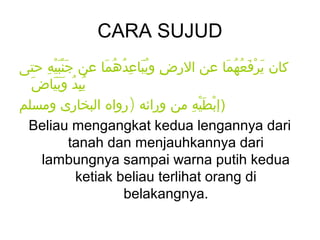 CARA SUJUD
‫كان يرفعهما عن الرض ويباعِدهما عن جنبيه حتى‬
      ِ ََْْ       َ ُ ُ َُ ِ            َ ُ ُ َ ْ َ
  َ ‫يبد وبياض‬
        َََ ُ ُِ
‫)إبطيه من ورائه )رواه البخارى ومسلم‬
                                  ِ َْ ْ
 Beliau mengangkat kedua lengannya dari
             tanah dan menjauhkannya dari
     lambungnya sampai warna putih kedua
              ketiak beliau terlihat orang di
                        belakangnya.
 