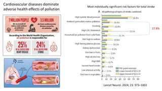 Lancet Neurol. 2024; 23: 973–1003
Most individually significant risk factors for total stroke
27.8%
Cardiovascular diseases dominate
adverse health effects of pollution
 