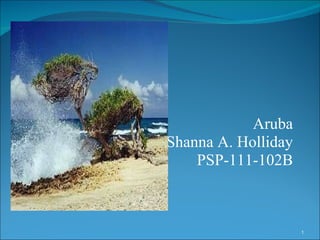 Aruba Shanna A. Holliday PSP-111-102B 