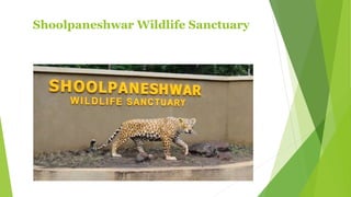 Shoolpaneshwar Wildlife Sanctuary
 
