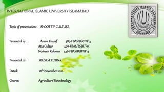 INTERNATIONAL ISLAMIC UNIVERSITY ISLAMABAD
Topic of presentation: SHOOTTIP CULTURE
Presented by: AnumYousaf 489-FBAS/BSBT/F13
AtiaGulzar 407-FBAS/BSBT/F13
NosheenRehman 436-FBAS/BSBT/F13
Presented to: MADAM RUBINA
Dated: 28th November 2016
Course: Agriculture Biotechnology
INTERNATIONAL ISLAMIC UNIVERSITY ISLAMABAD
 