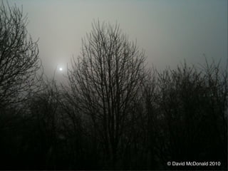 © David McDonald 2010
 