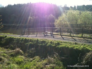 © David McDonald 2010
 