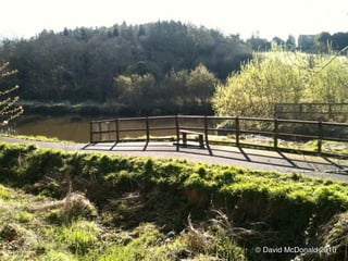 © David McDonald 2010
 