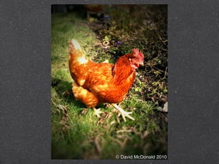 © David McDonald 2010
 