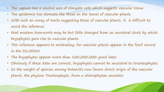 • The capsule has a central axis of elongate cells which suggests vascular tissue.
• The epidermis has stomata like those on the leaves of vascular plants.
• With such an array of traits suggesting those of vascular plants, it is difficult to
avoid the inference.
• that modern hornworts may be but little changed from an ancestral stock by which
bryophytes gave rise to vascular plants.
• This inference appears to misleading, for vascular plants appear in the fossil record
in the SILURIAN.
• The bryophytes appear more than 100,000,000 years later.
• Obviously if these data are correct, bryophytes cannot be ancestral to tracheophytes.
• So the weight of opinion among botanists now favors direct origin of the vascular
plants, the phylum Tracheophyta, from a chlorophytan ancestor.
 
