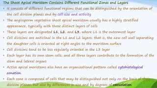 The Shoot Apical Meristem Contains Different Functional Zones and Layers
• It consists of different functional regions that can be distinguished by the orientation of
the cell division planes and by cell size and activity
• The angiosperm vegetative shoot apical meristem usually has a highly stratified
appearance, typically with three distinct layers of cells
• These layers are designated L1, L2, and L3, where L1 is the outermost layer
• Cell divisions are anticlinal in the L1 and L2 layers; that is, the new cell wall separating
the daughter cells is oriented at right angles to the meristem surface
• Cell divisions tend to be less regularly oriented in the L3 layer
• Each layer has its own stem cells, and all three layers contribute to the formation of the
stem and lateral organs
• Active apical meristems also have an organizational pattern called cytohistological
zonation.
• Each zone is composed of cells that may be distinguished not only on the basis of their
division planes, but also by differences in size and by degrees of vacuolation
 