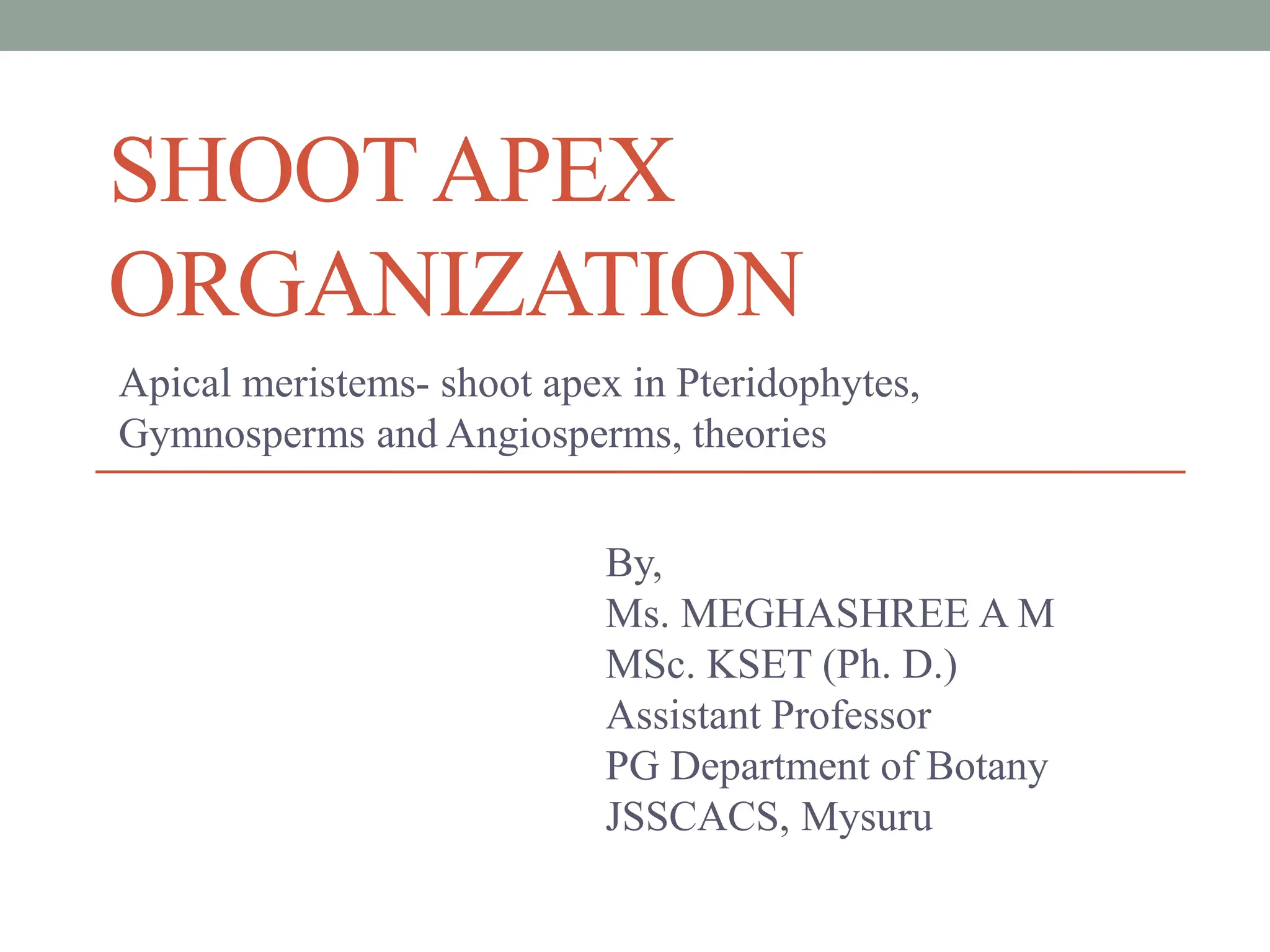 Shoot apex organization and its theories | PPTX