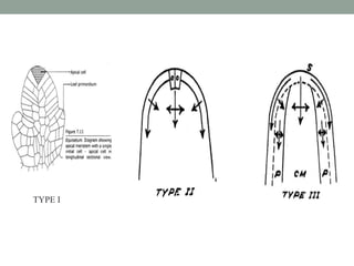 TYPE I
 
