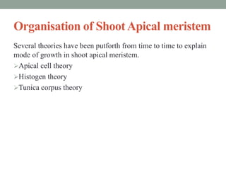 Organisation of ShootApical meristem
Several theories have been putforth from time to time to explain
mode of growth in shoot apical meristem.
Apical cell theory
Histogen theory
Tunica corpus theory
 