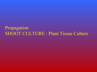 Propagation
SHOOT CULTURE : Plant Tissue Culture
 