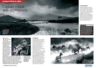 12 | Shooting black & white on your D-SLR
Seeing in black & white
| 13
T
he abstract
nature of black &
white also
makes it excellent for
creating moody and
atmospheric images.
The simplicity of
colourless images,
and the fact that they
are so far removed
from the way we see
the world around us,
means they are often
better at conveying
these moods than
colour images. In
general, images containing lots of darker tones
often appear moodier than more tonally balanced
images, while lighter tones give shots a fresher,
happier mood. So look for subjects that lend
themselves to either of these treatments, and then
slightly underexpose your shot for a darker image,
or slightly overexpose for a lighter image.
BLACK & WHITE TIP
The stronger the ND grad ﬁlter you
use, the darker the sky will be. So
use a 1-stop or 0.3 ND grad if you
only want to add subtle detail, use
a 2-stop or 0.6 ND grad if you want
to step up the drama and use a
3-stop or 0.9 ND grad for maximum
impact. The choice is yours!
€‹Mood
The range of tones in the image
largely determines the overall
mood of your black & white shots.
An image full of dark tones
portrays a much heavier, more
dramatic mood than one
containing mainly lighter tones.
This range of tones can be
achieved when you are shooting
your mono images by
overexposing by a 1/2 to 1 stop for
lighter images, and underexposing
by a similar amount for darker
ones. As with traditional black &
white photography, you can also
adjust your images to suit the
effect that you are after. Using the
Curves and Levels adjustments
available in Photoshop you can
make your image lighter or darker
to suit the mood of your image –
turn to page 28 for more info.
€Atmosphere
Naturally atmospheric conditions
such as dramatic skies and mist are
perfect subjects for black & white.
The pure tones of mono allow you
to concentrate all your attention on
making the most of these
conditions. You can maximise the
effect by using an ND grad ﬁlter to
darken the sky when you take the
shot, but don’t forget that you can
also use the dodging and burning
techniques found on page 30.
Urban portraits full
of darker tones, not
to mention concrete
and grafﬁti, are
perfect black &
white fodder.
A 0.9 ND grad ﬁlter
was used to increase
the drama in this
stunning view of
Rannoch Moor.
Galloping zebras (a ready-
made black & white subject if
ever there was one) kicking up
dirt makes bags of atmosphere.
Capture mood
and atmosphere
 