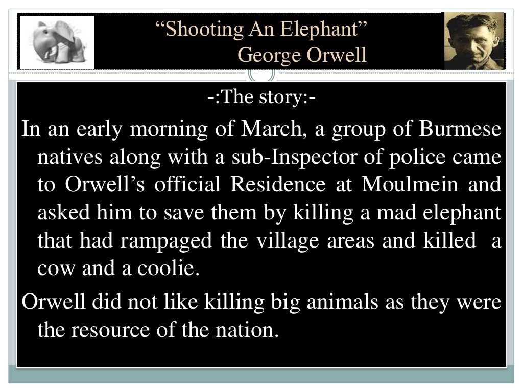Shooting An Elephant By I s