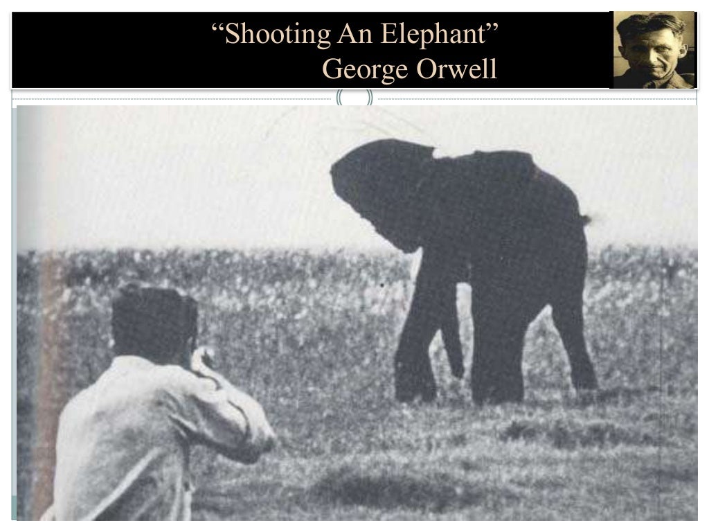 Shooting an elephant by i.s
