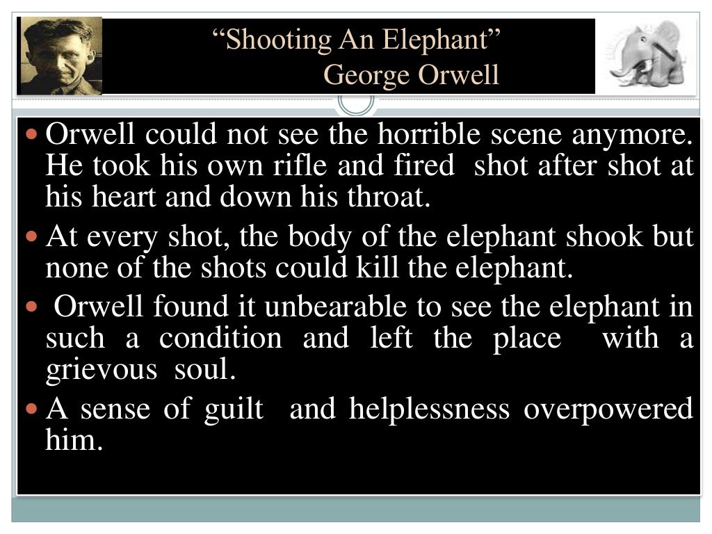 Shooting An Elephant By I s