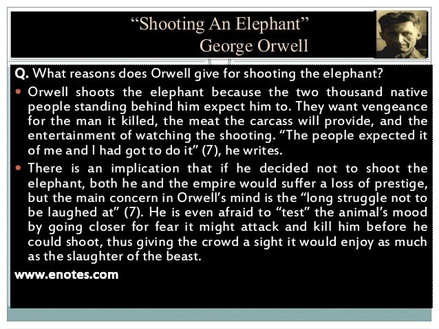 George Orwell Shooting An Elephant Summary